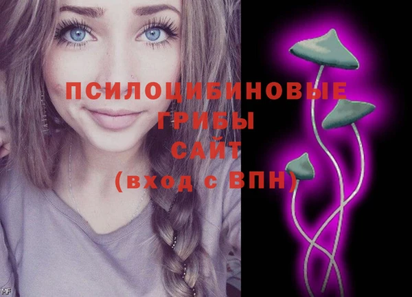 стафф Бородино